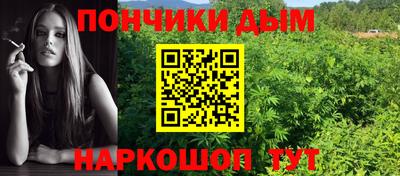 хмурый Жуковский