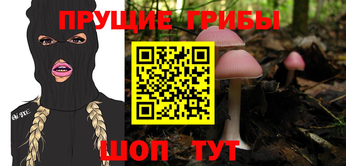 Галлюциногенные грибы GOLDEN TEACHER  Вход с VPN  Гусев  Галлюциногенные грибы Cubensis 
